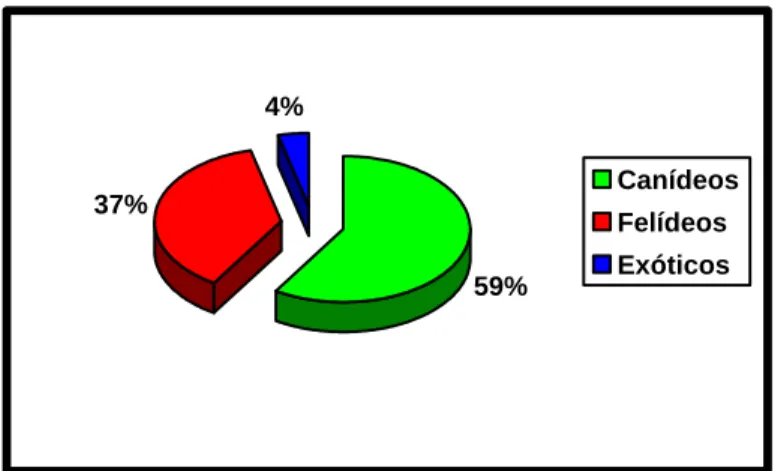 Gráfico 1 – Percentagem relativa das espécies animais observadas. 
