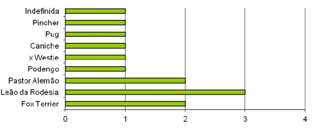 Gráfico 3: Distribuição rácica dos pacientes 