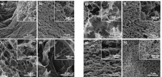 Figure 8. SEM images displaying the different morphological aspects of cellulose based systems cured  under different conditions: (a–d) G600, CG601, CG602 and CG603, respectively; (e–h) G230, CG231,  CG232 and CG 233, respectively