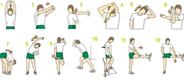 Figure IV – Some of the exercises practiced by the physical exercise break group.  
