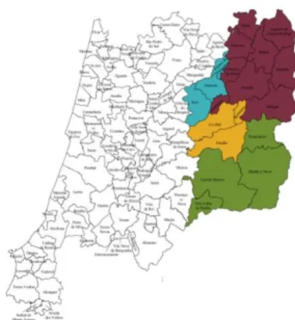 Figura 1 – A área de estudo na Região Centro, com as 4 NUT III e os 19 concelhos considerados  