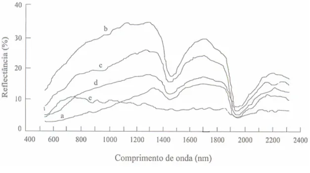 Figura 1. Espectros de reflectância representativos de horizonte  superficial de solos: (a) forma de solos com domínio de matéria orgânica; 