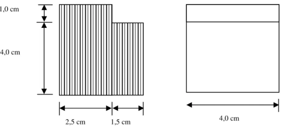 Figura 18. Dimensões dos corpos de prova de ligação interna de LVL. 