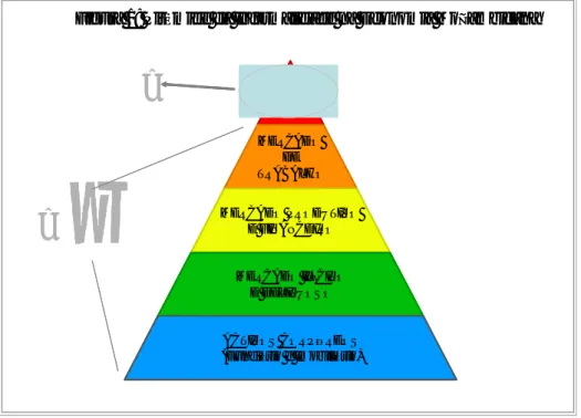 Figura 1: Pirâmide da Informalidade na Economia Moçambicana