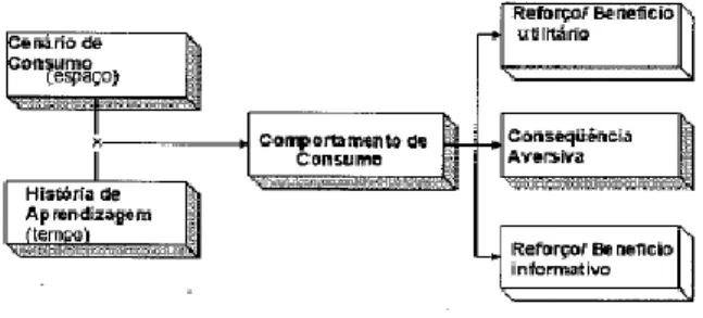 Figura 1 - Modelo na perspetiva comportamental (BPM) 