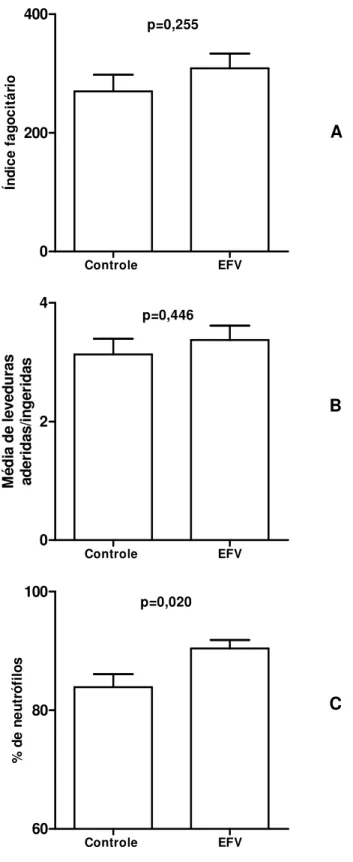 Figura  9.  Influência  do  tratamento  in  vitro  de  neutrófilos  com  efavirenz  por  30  minutos  sobre  a  capacidade  fagocitária,  utilizando-se  2,5x10 5   leveduras  sensibilizadas  por  escavação