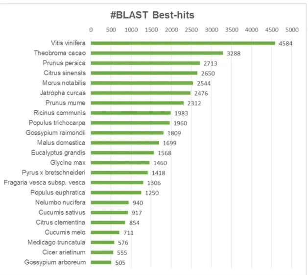 Figure 2. Blast top hits by species. The most representative species with a minimum of 500 hits   are represented