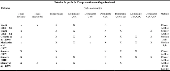 Tabela 1  Perfis obtidos em pesquisas anteriores (Baseado em: Meyer et al., 2012, p.4) 