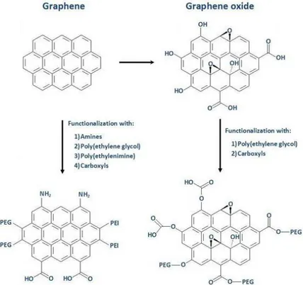 Figure  2.1:  Simplified  scheme  showing  graphene  and  graphene  oxide  structures  and  some  examples of functionalization for both materials