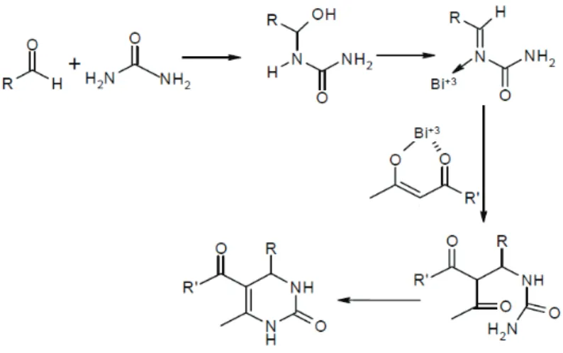 Figura 8- Elucidação do possível mecanismo reacional com catalisadores derivados de bismuto[45]