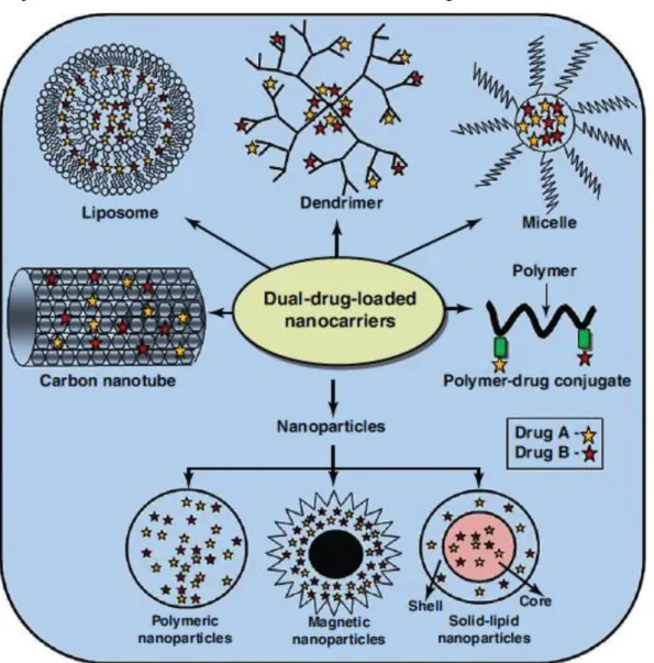 Figura 4.1 - Representação dos vários tipos de nanopartículas utilizadas na vectorização da terapêutica