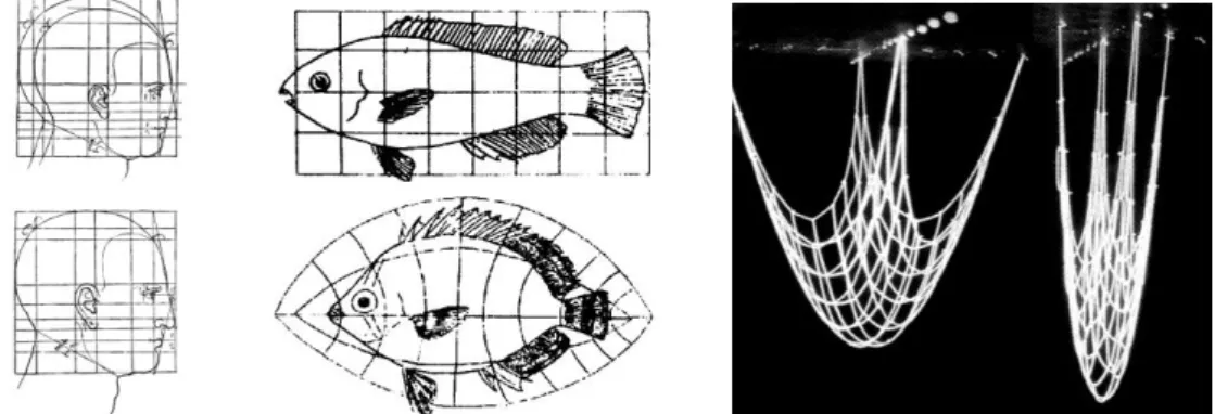 Fig. 1.3 Form transformation: man’s head – left (Dürer [1532] 2003), fishes – centre (Thompson [1917] 