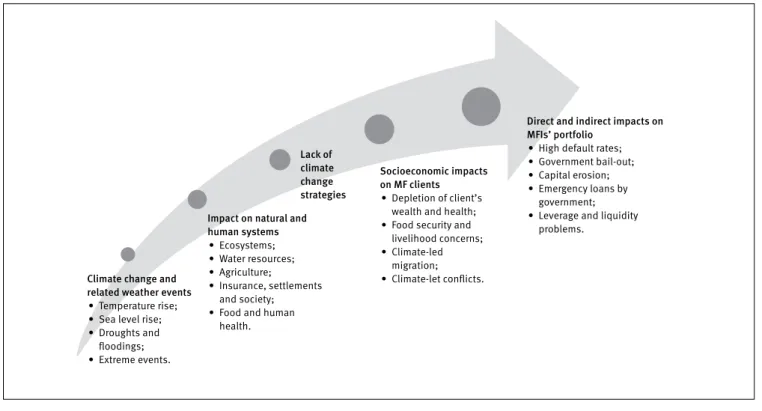 Figure 1. Potential climate change impacts on Brazilian mfis and their target