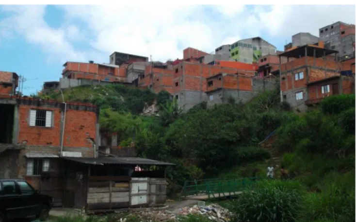 Figure 1 depicts the view of part of the community, uphill and the 