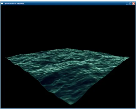 Figure 2.6: Heightfield based simulation.