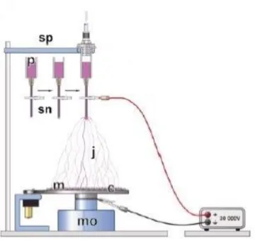 Figura  2.1-  Representação  esquemática  dos  equipamentos  utilizados  na  produção  de  fibras  de  PCL  por  electrospinning  (Adaptado [42]) 