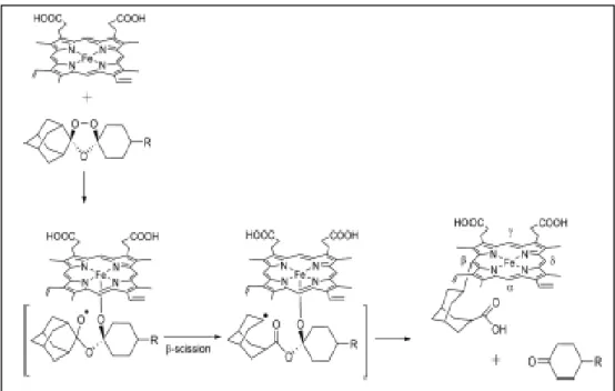 Figura 1.8. Representação esquemática do mecanismo da bioativação dos trioxolanos em  presença de ferro de Hemoglobina 28 