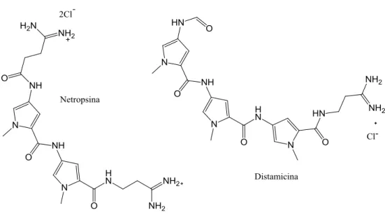 Figura 1.11. Representação das estruturas de agentes de ligação ao ADN. 