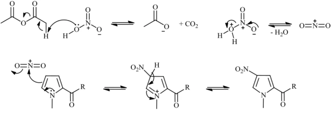 Figura 2.6. Proposta de mecanismo de reação relativo à formação das diferentes amidas