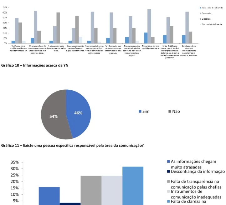 Gráfico 10 – Informações acerca da YN