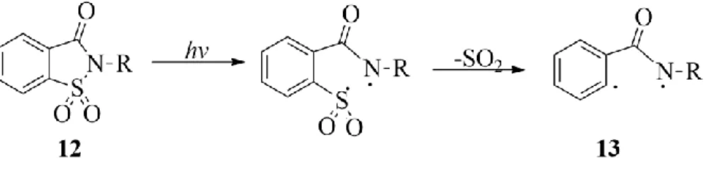 Figura  1.10  –  Representação  esquemática  das  reações  de  fotólise  nas                       N-alquilsacarinas (12) (λ = 254 nm) em metanol