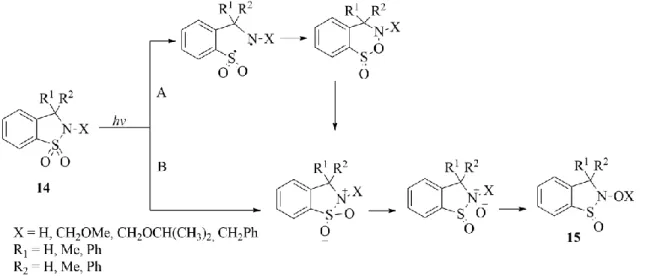 Figura  1.11  –  Representação  esquemática  das  vias  de  fotoisomerização  de  3,3-di- 3,3-di-substituído-2,3-di-hidro-1,2-benzisotiazole-1,1-dióxido  (14)  (λ  =  254  nm)  em  metanol