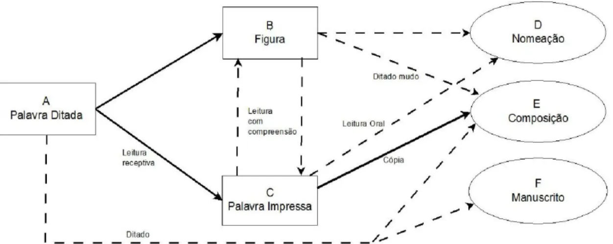 Figura  1.  Diagrama  esquemático  que  representa  uma  rede  de  relações  ensinadas  e  emergentes 