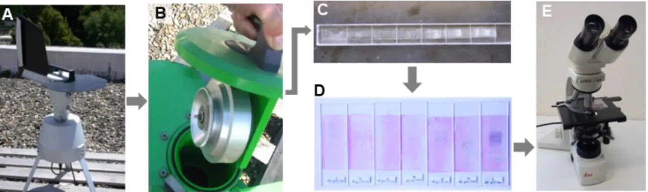 Fig. 5 - Scheme of the airborne pollen sampling procedure. 