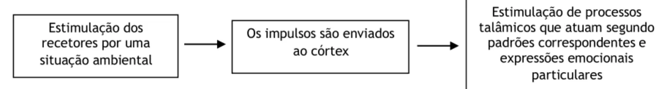 Figura 2 – Representação da Teoria das Emoções de Cannon-Bard 