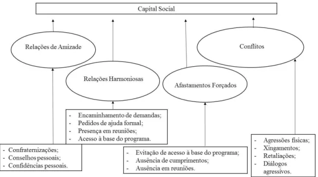 Figura 1. Capital Social  