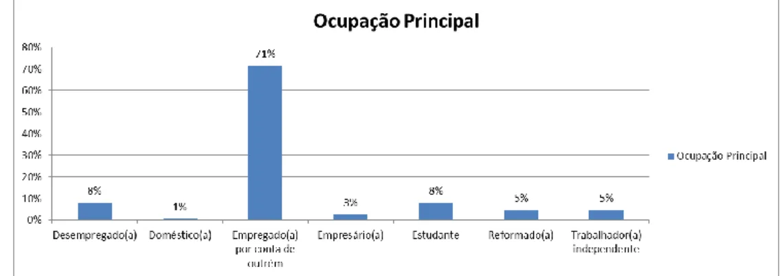 Figura 6 – Respostas por Ocupação Principal 