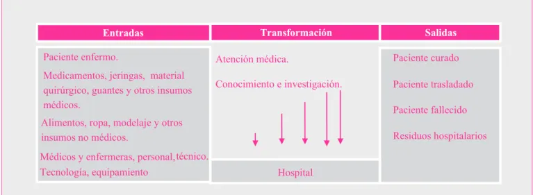 Figura  1: El Proceso de Servicio en un HospitalFuente: Hernández Nariño (2010).