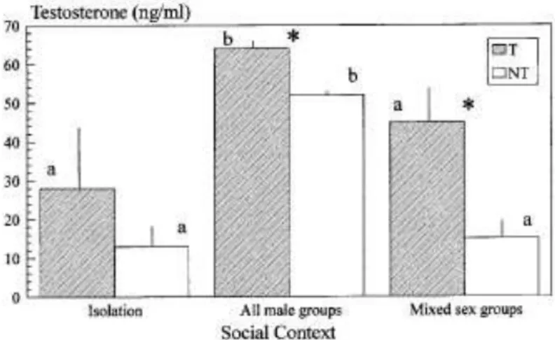 FIG. 2.  Differences in testosterone concentrations in the urine (mean  +  SE) between territorial (T) and non-territorial ﬁsh (NT) (F -  6.11, p  &lt;  0.05), along the three phases of the experiment (F  -  8.62, p  &lt;  0.01)