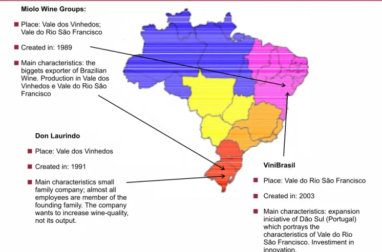 Figure 1: Location of the Companies Analyzed in the Case Studies