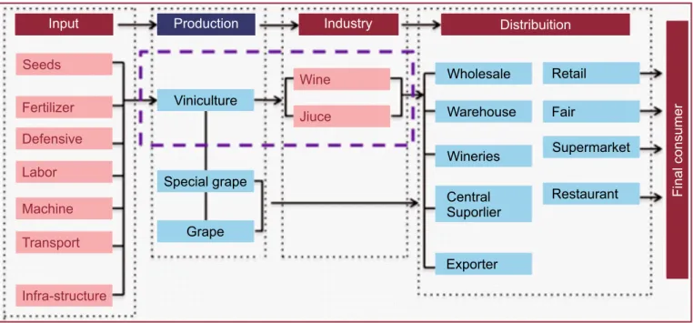 Figure 2: Wine Supply Chain Source: Embrapa (2007) .