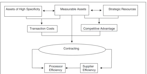 Fig. 3. Complementarity model—influence of specific, measurable, and strategic assets in the definition and efficiency of contractual governance structures.