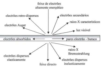 Figura 3. 8. - Gama de sinais emitidos durante a interacção de um feixe altamente energético de  electrões com material fino (Williams, 1996)