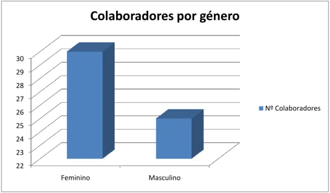 Gráfico  1.2  Colaboradores  por género. Dados extraídos  do programa primavera. Elaboração  própria