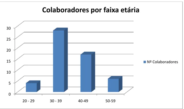 Gráfico  1.4  Colaboradores  por  faixa  etária.  Dados  extraídos  do  programa  primavera