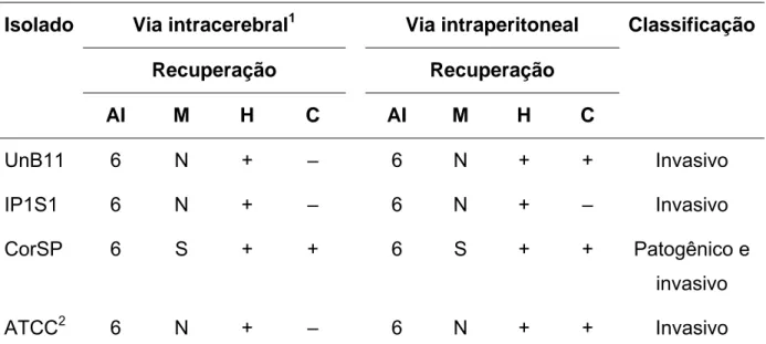 Tabela 2 – Classificação dos isolados inoculados (70). 