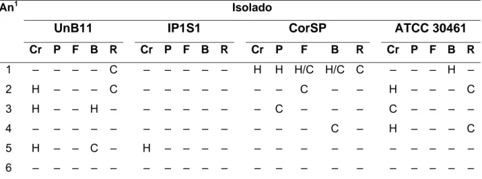Tabela 4 – Isolados inoculados pela via intraperitoneal e animais com histopatologia  e cultura positivas nos órgãos recuperados