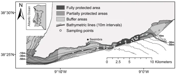 Figure 1 Map of the Luiz Saldanha Marine Park (LSMP) zoning. The light grey dots indicate sampling points (experimental fishing).