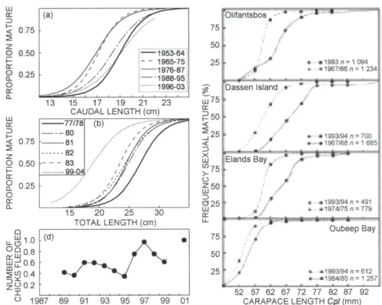 Figure  6:  Variability  in  reproductive  characteristics  of  some  living  marine  resources  of  the  Benguela ecosystem, showing (a) maturity ogives for female sardine in the southern Benguela  for  five  periods  between  1953  and  2003  (from  van 
