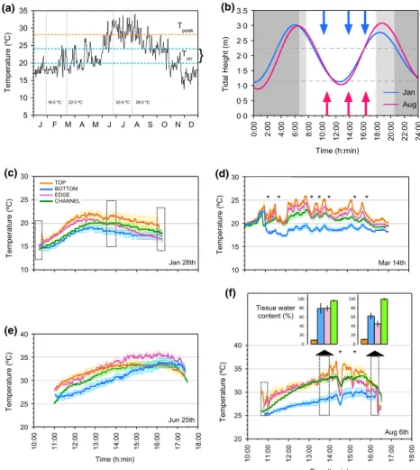 Figs 2f and 3h). The Loglinear relationship between ﬁeld expression values for HSP20_2 (the transcript with the highest dynamic range) and temperature was highly signiﬁcant across samples for January and August (Fig