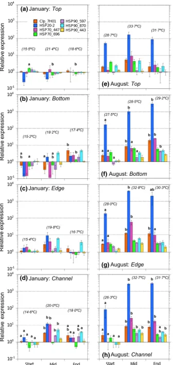 Fig. 4. Relationship between temperature and HSP20_2 expres- expres-sion for January and August ﬁeld samples