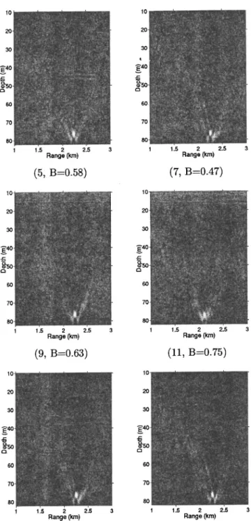 Figure 3 shows only the odd numbered ambiguity surfaces, and Table II summarizes the results obtained through time in terms of the mean and standard deviation