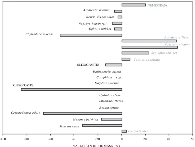 Fig. 10. – Variation in standing stock (biomass) of invertebrates (benthic and small epibenthic amphipods), “before” and “after” the cockle  harvesting, which occurred in June 1995.