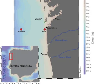 Figure 1. Map of the NW Iberian Margin showing CALIBERIA and RAIA stations. Location of Cíes meteorological station (IR, in green), and WANA hindcast reanalysis points WANA S and WANA G (black stars) from which irradiance and wave data were respectively ob