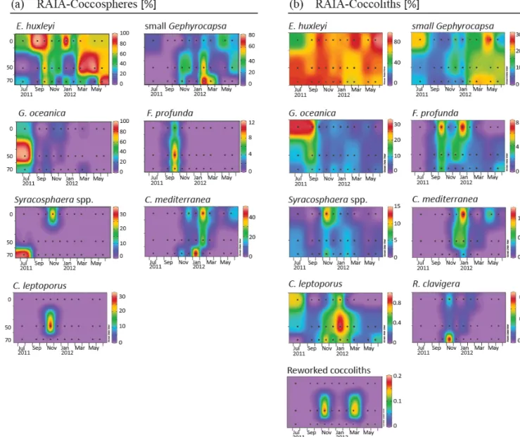 Figure 4. Relative abundance (%) of major species of coccospheres (a) and coccoliths (b) in RAIA station