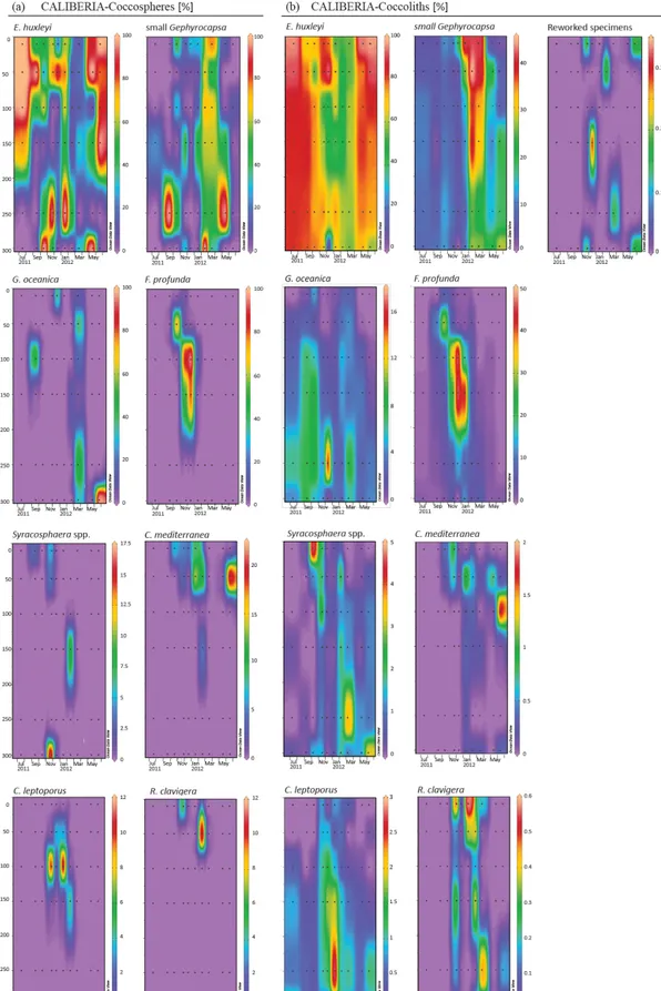 Figure 5. Relative abundance (%) of major species of coccospheres (a) and coccoliths (b) in CALIBERIA station